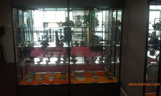 福州區(qū)域供應優(yōu)質展示柜——專業(yè)生產廠家、合理價格與全面展覽服務